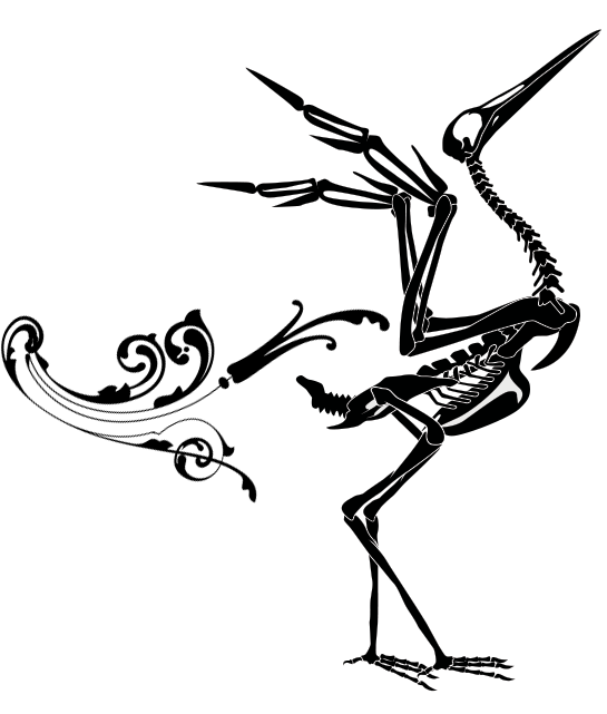 bird left