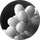 icon1 hover